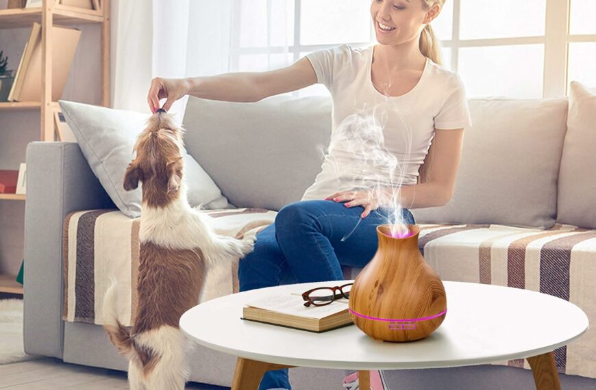 Meilleur diffuseur d’huiles essentielles en bois - guide pour une ambiance zen et naturelle